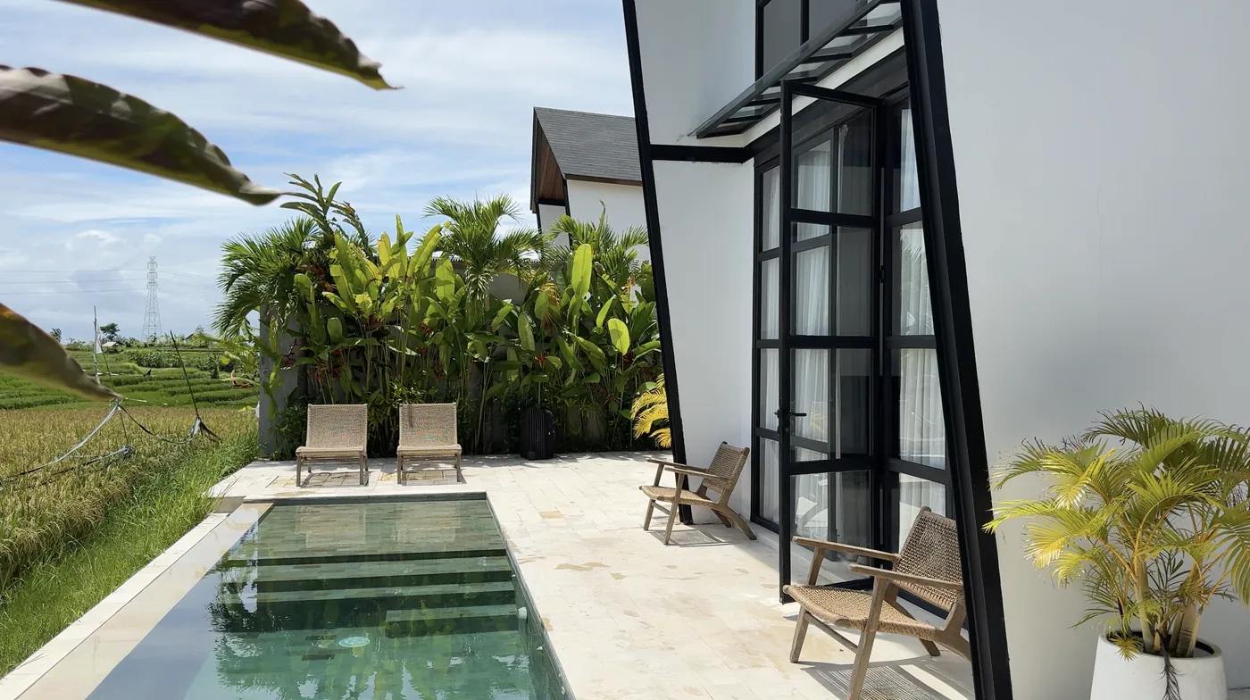 A narrow pool and sun loungers next to a villa with black window frames and rice fields