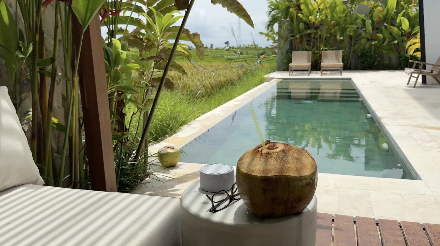 A pool beside a daybed with a coconut, with palms and rice fields behind