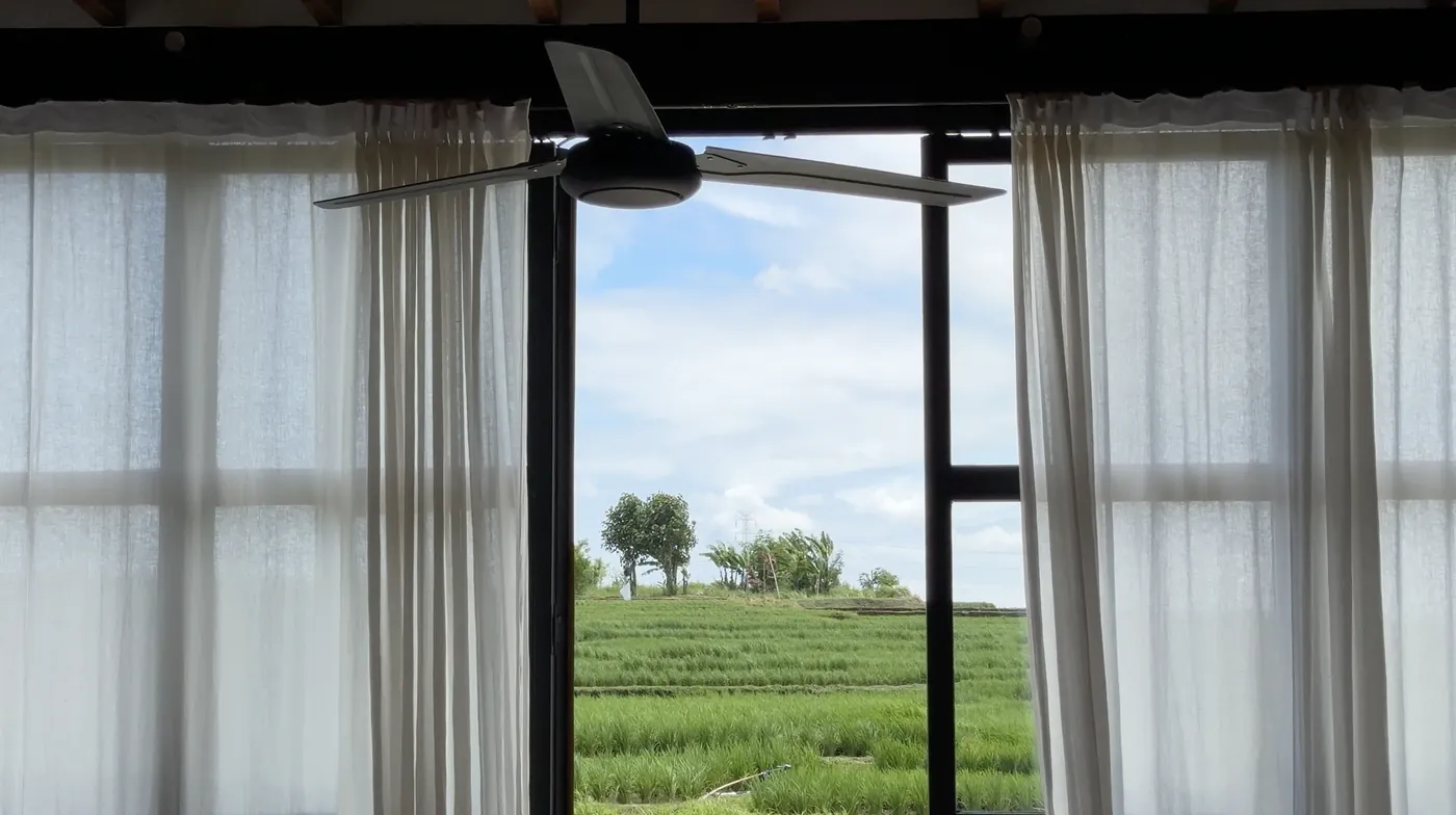 A bedroom window with white curtains and a ceiling fan looking out on green rice fields