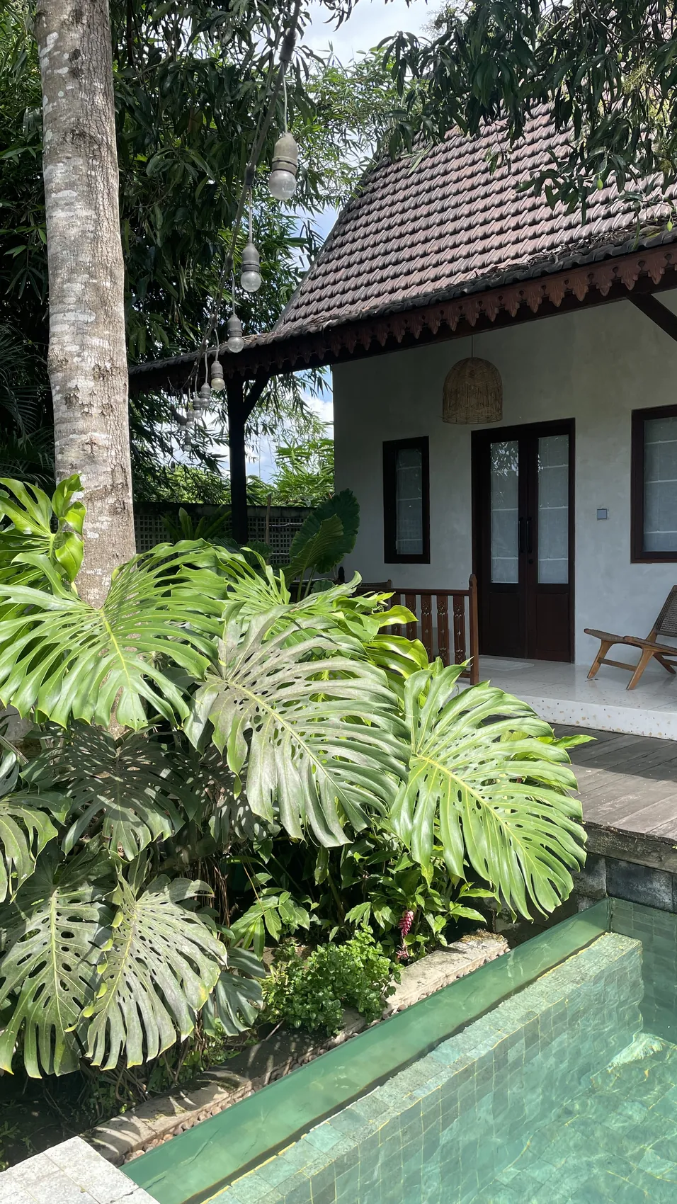 A villa with a tiled roof behind a garden with large monstera plants and a pool