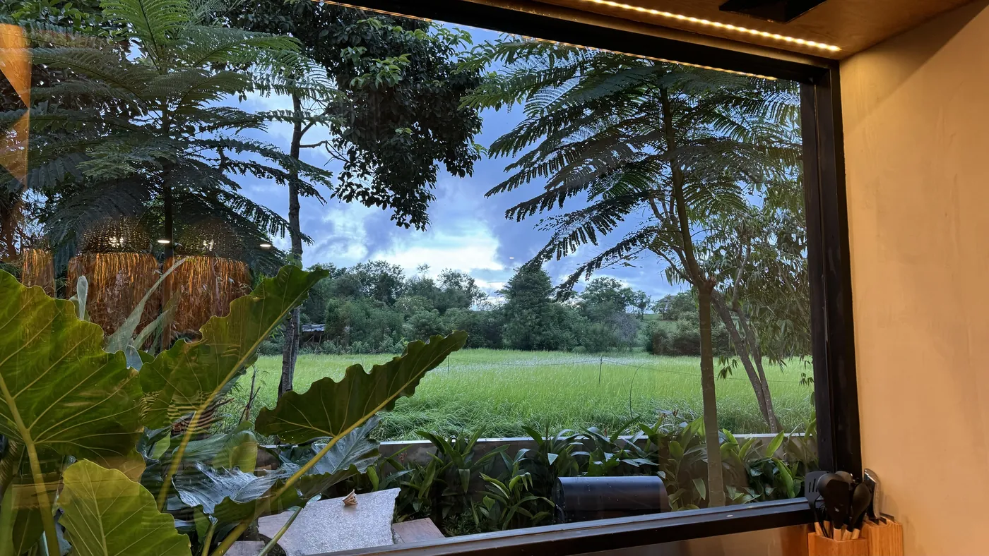 A wide window with a view of a green rice field under a cloudy evening sky