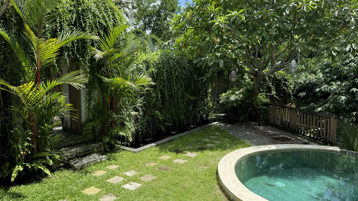 A small round pool in a garden with palms and a stone path