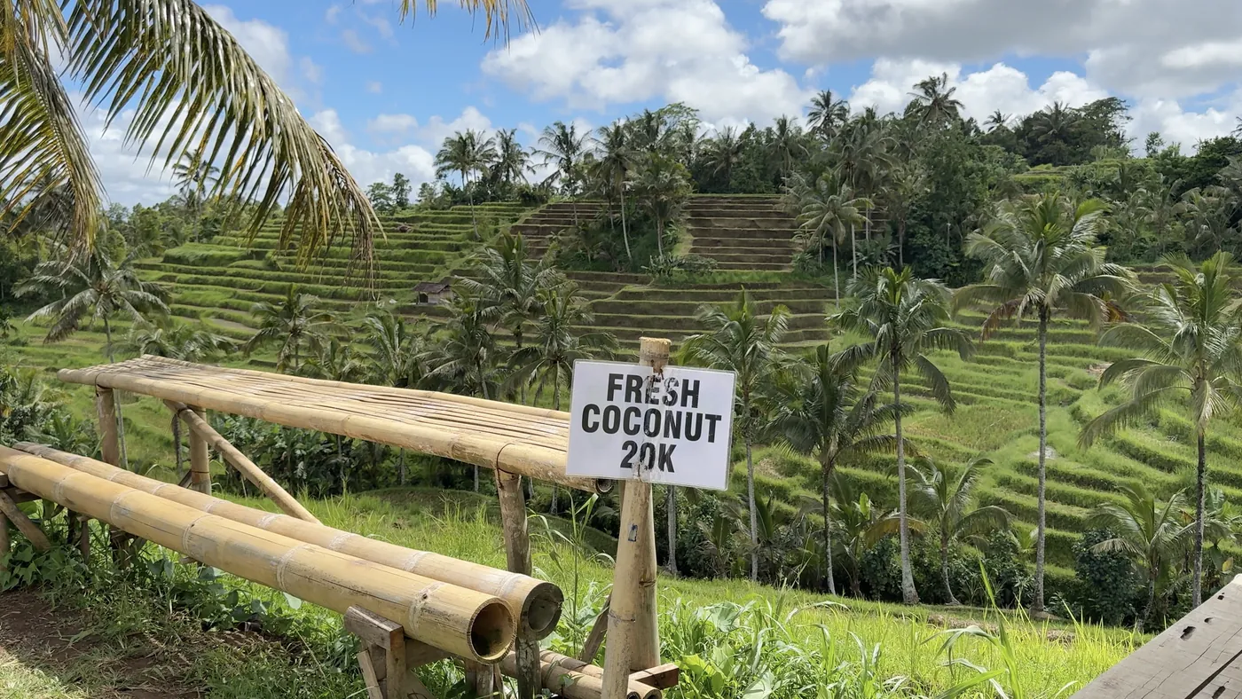 Bamboo bench and a sign reading Fresh Coconut 20K with terraces behind