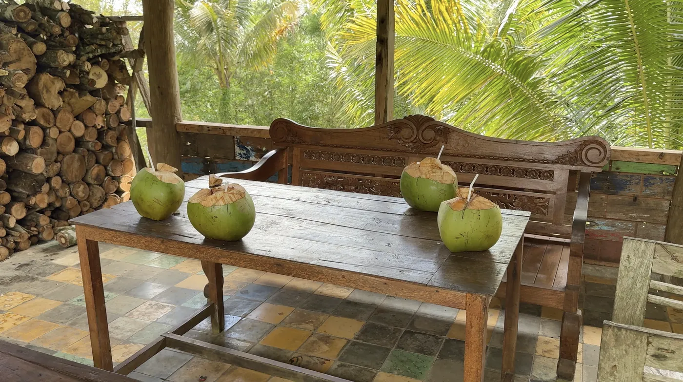 Four fresh coconuts with straws on a wooden table