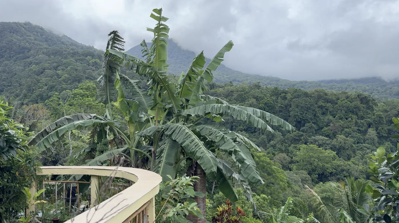 A curved balcony beside banana palms with mountains behind