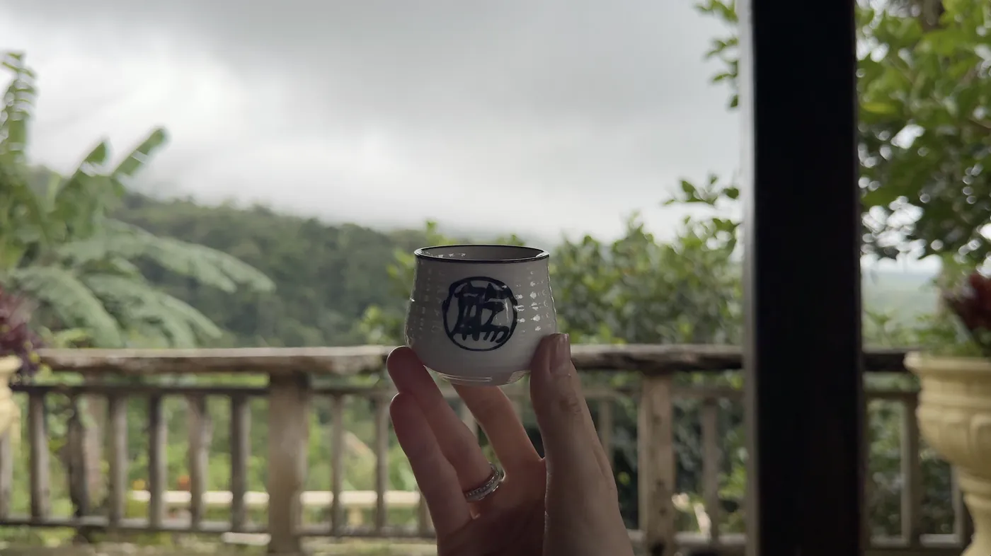 A hand holding a small cup in front of a misty jungle view