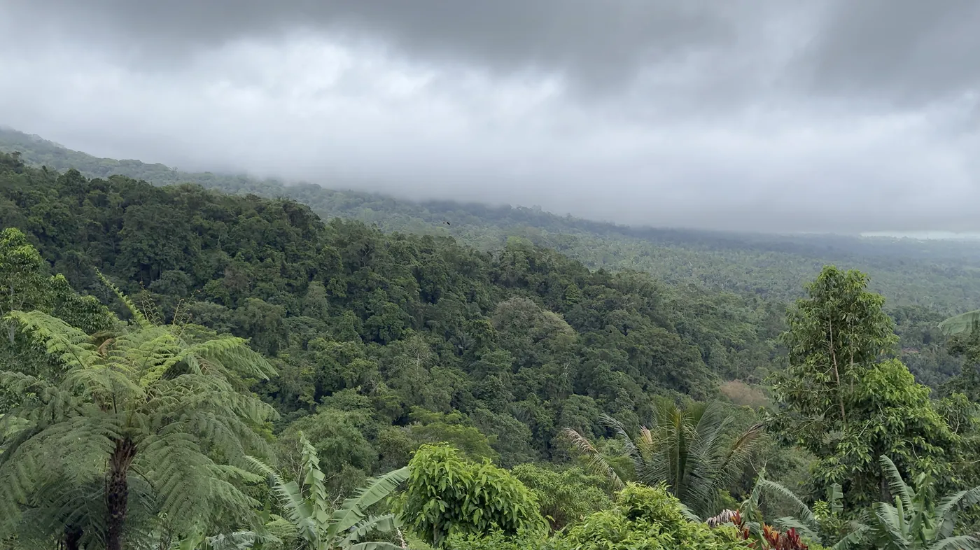 Jungle hills under heavy grey clouds