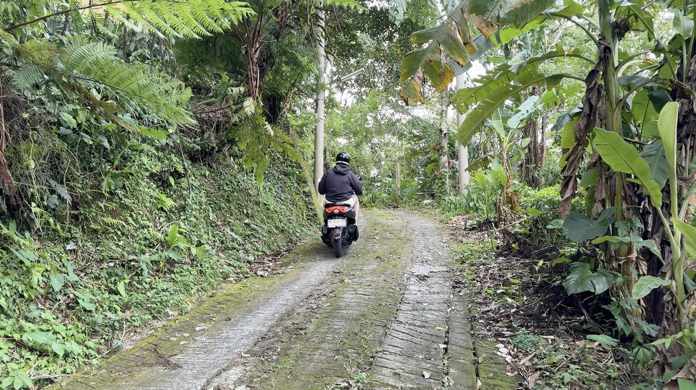 A rider on a scooter on a mossy brick track through jungle