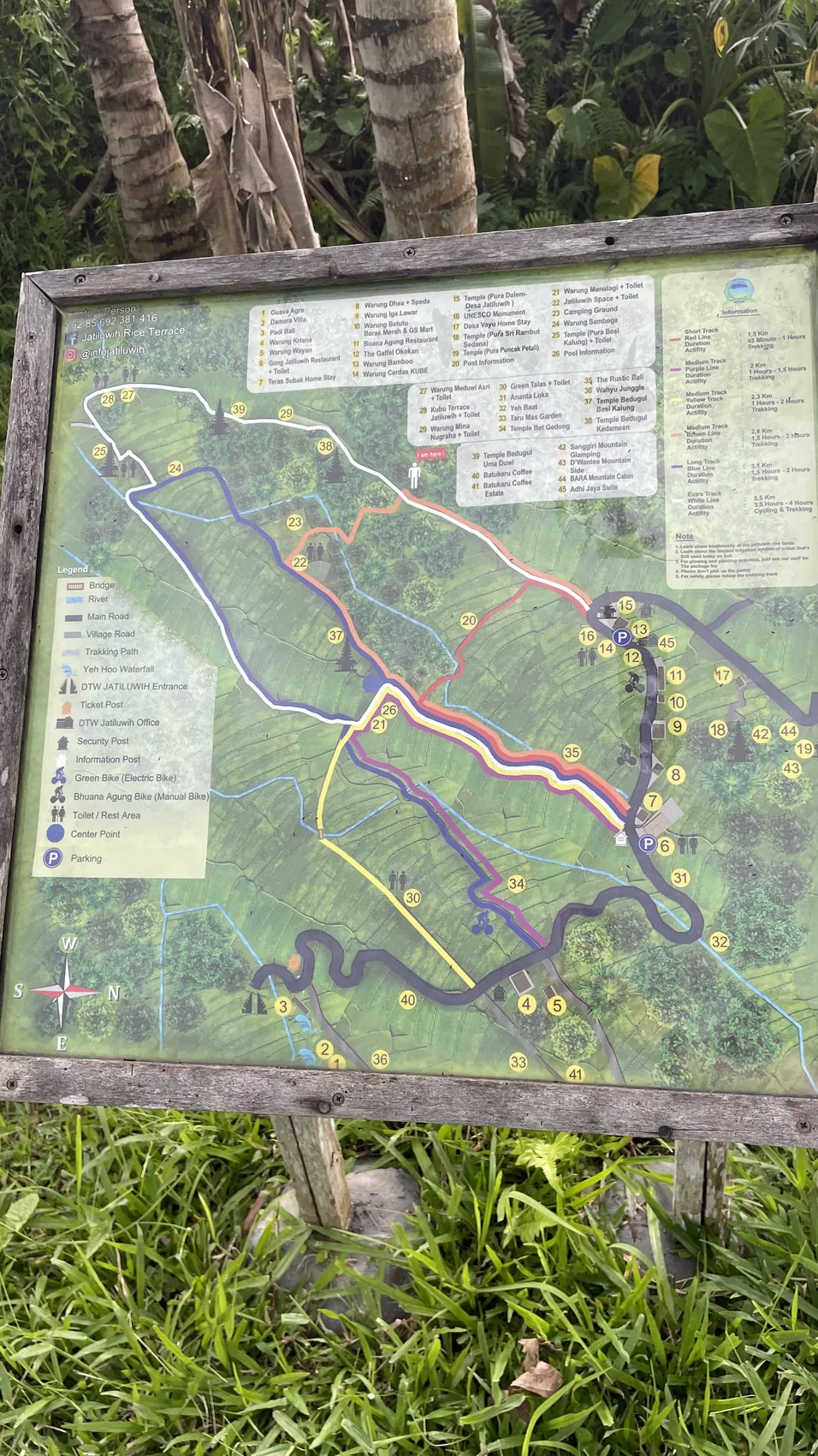 A map of the walking trails on a signboard in the greenery