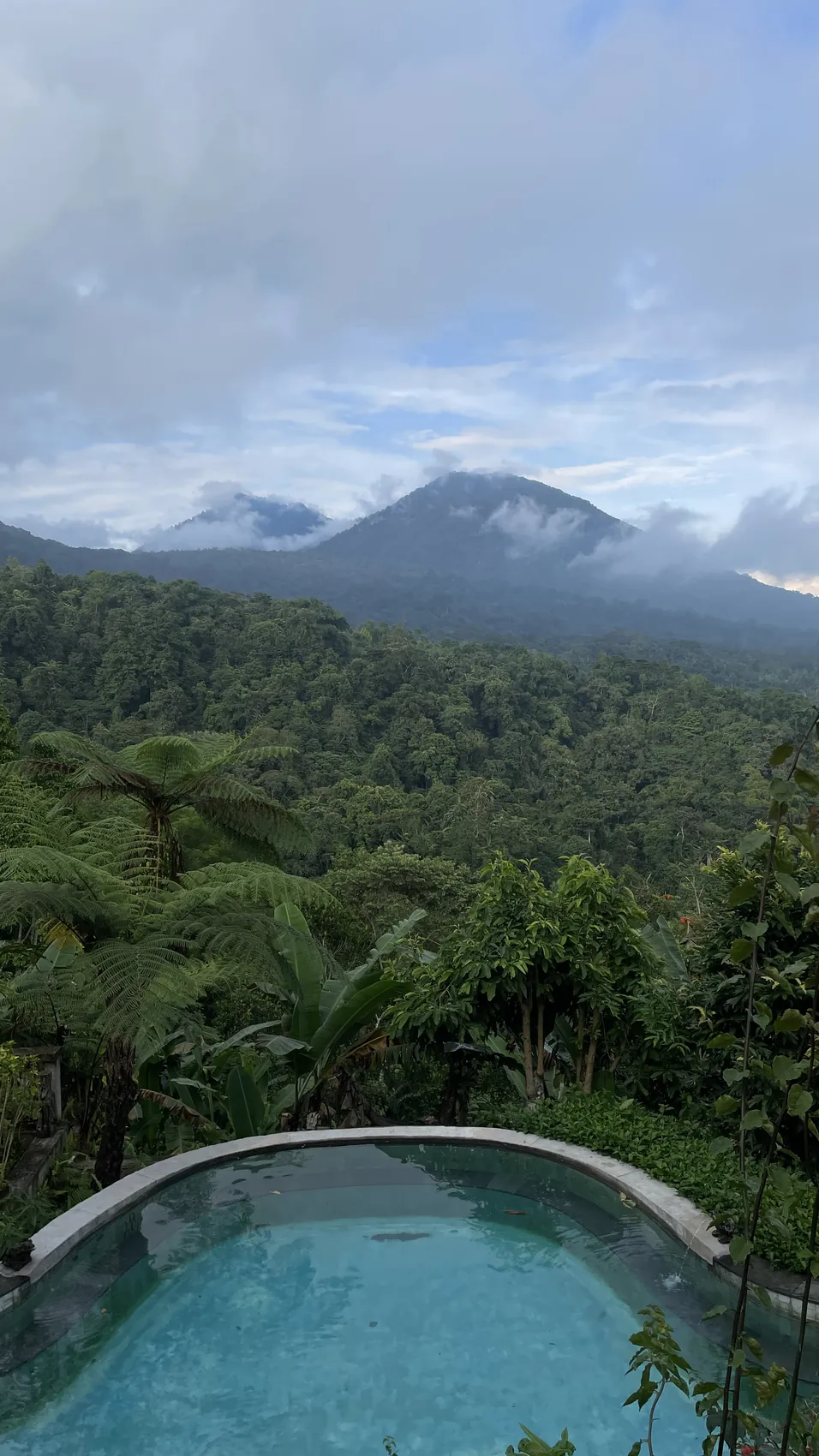 An infinity pool at the edge of a hill above the forest with clouds over the mountain