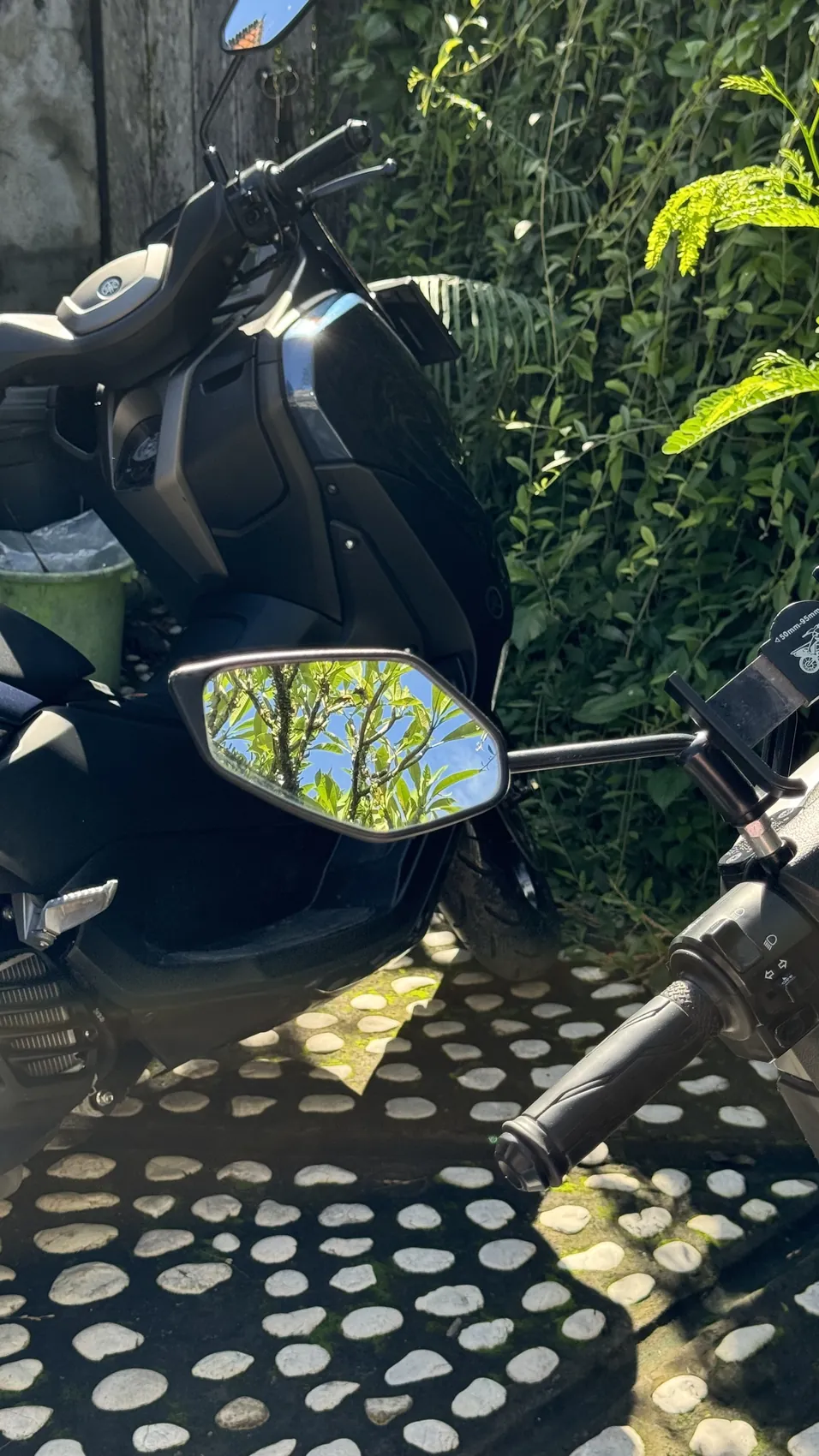 The mirror of a black scooter reflecting green leaves