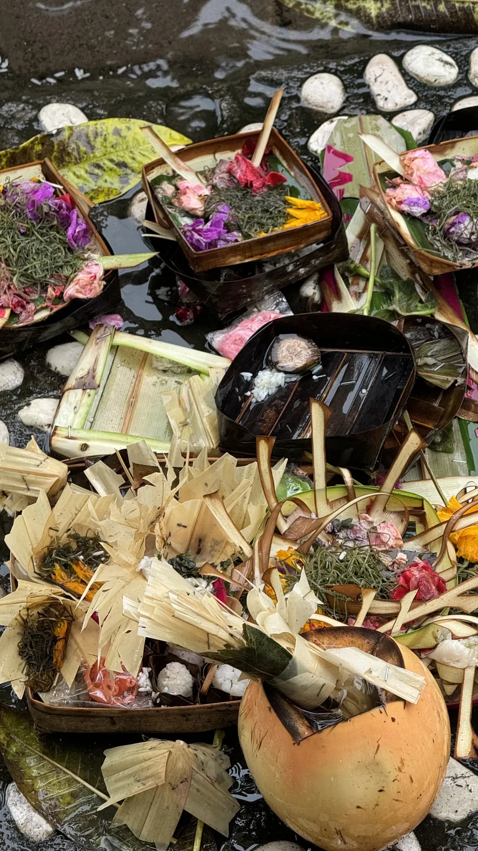 Close view of colourful offerings with flowers and a coconut shell