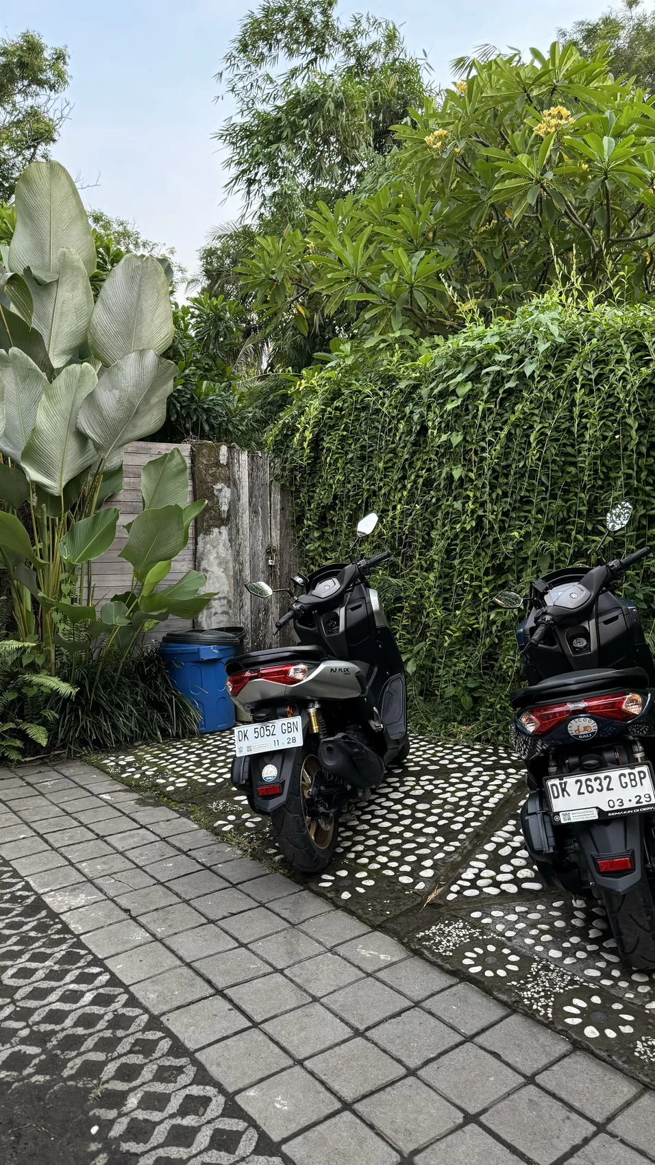 Two scooters parked on a stone path next to green hedges