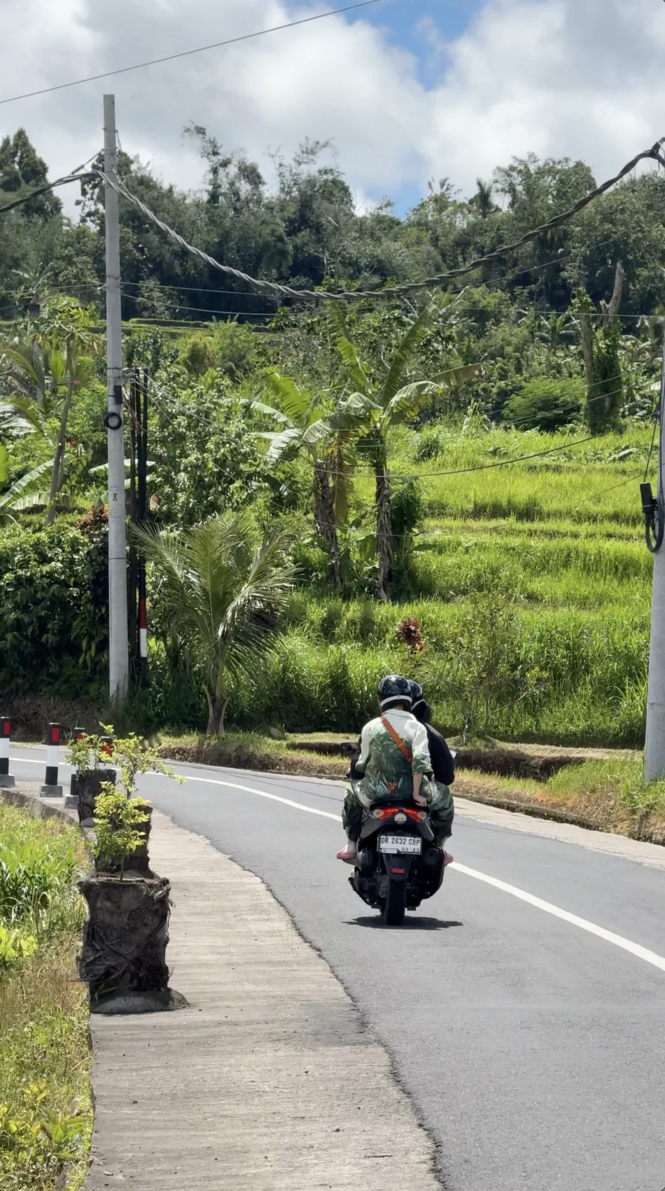 A scooter rider on a curved road beside green rice fields