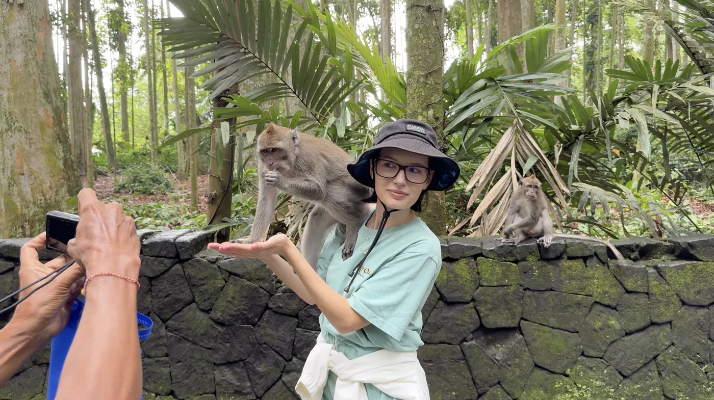 A monkey on a stone wall while a staff member holds a phone