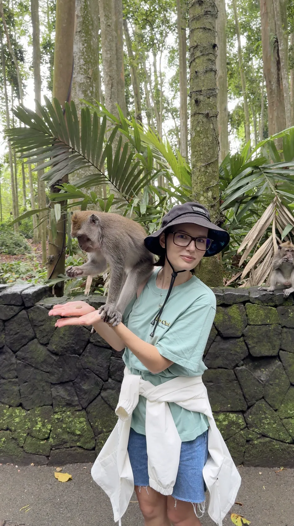 A monkey on my shoulder while I hold out my hand