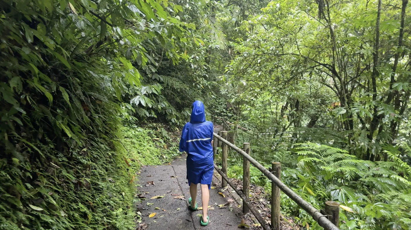 A person in a blue raincoat walking down a path through green jungle
