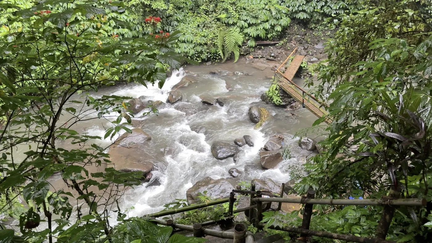A small river running over rocks below a bamboo railing