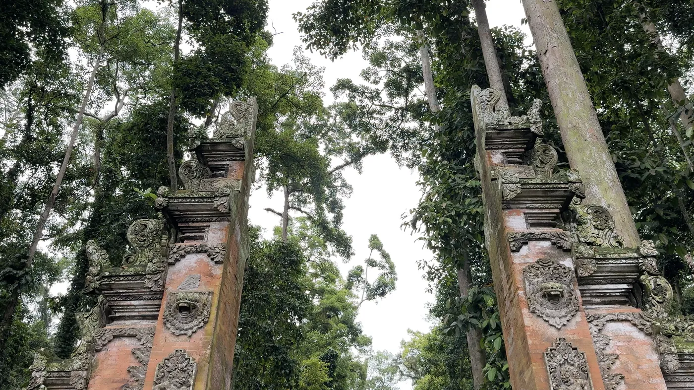 Two carved stone gate pillars among tall trees covered in vines