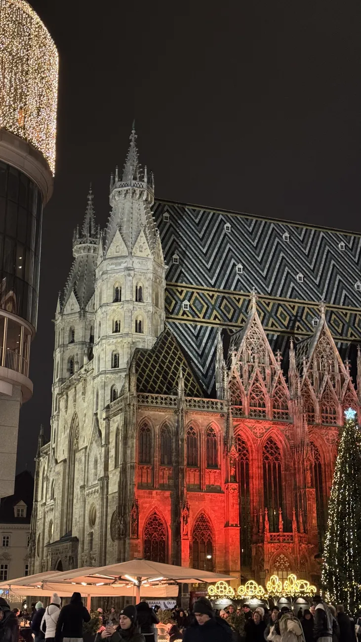 St Stephen’s Cathedral lit in red at night beside a tall Christmas tree covered in lights.
